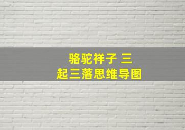 骆驼祥子 三起三落思维导图